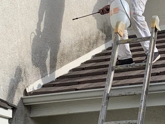 Applying chlorine treatment to remove mildew